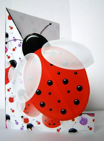 Lots of Ladybirds Shaped Front Print and Fold Card by Margaret McCartney
