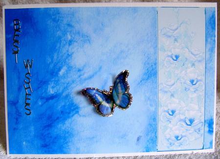Rose and Crushed Silk Blank Card - Turquoise Shade by Margaret McCartney