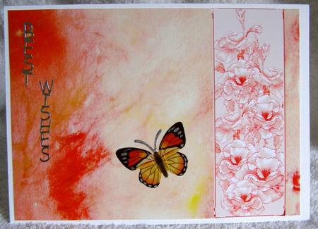 Rose and Crushed Silk Blank Card - Peach Shade by Margaret McCartney