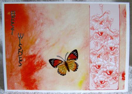 Rose and Crushed Silk Blank Card - Peach Shade by Margaret McCartney