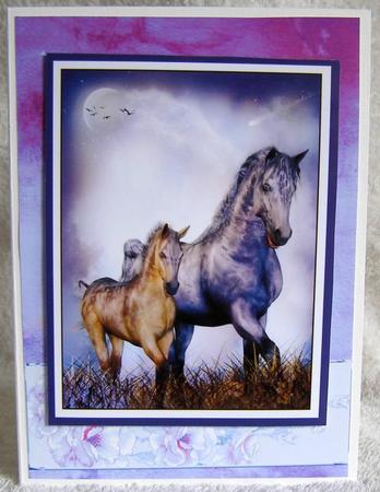 Heavenly Horses by Margaret McCartney