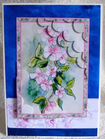 Apple Blossom by Margaret McCartney