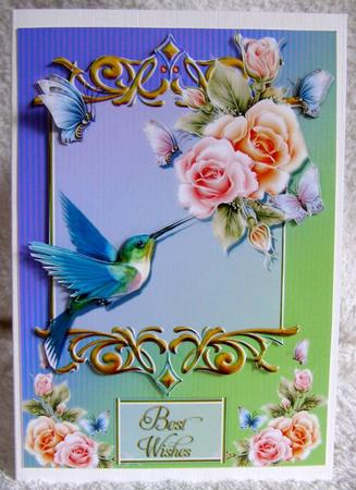 Humming Bird by Margaret McCartney