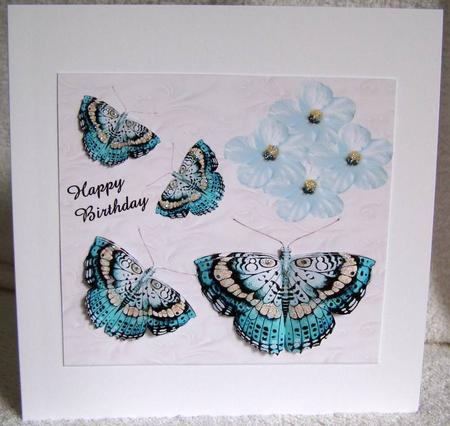 Sweet Butterflie by Margaret McCartney