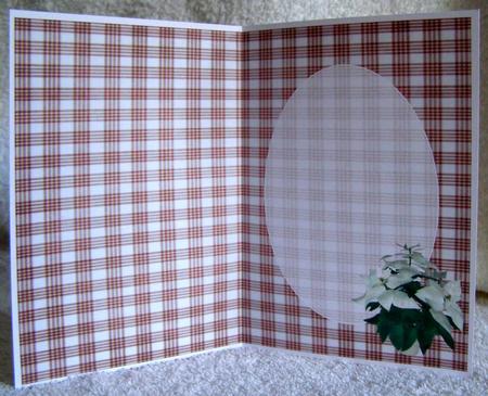 Christmas White Poinsettia Insert by Margaret McCartney