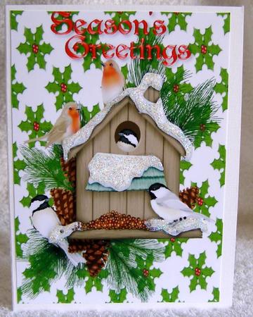 Christmas Robins in a Bird Box, A4 by Margaret McCartney