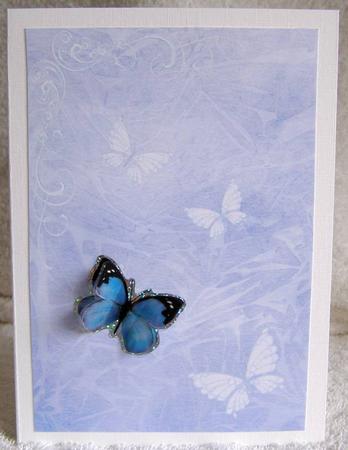 Butterflies and Scrolls Backing Paper 1 by Margaret McCartney
