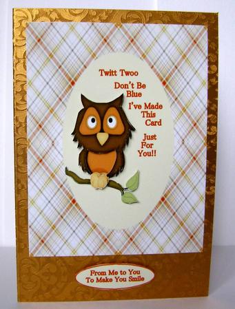 Twitt Twoo by Margaret McCartney
