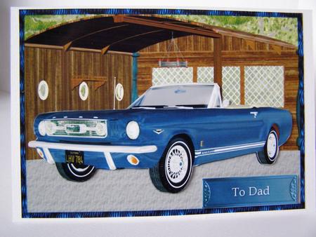 My Blue Thunderbird by Margaret McCartney