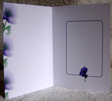 Anemone Border Insert by Margaret McCartney