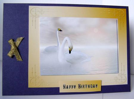 Sunset Swans by Margaret McCartney