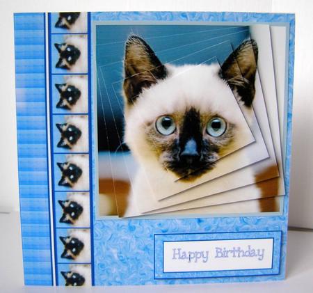 Siamese Cat Twisted Pyramid by Margaret McCartney