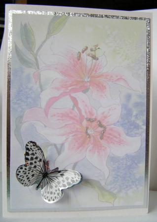 2 Lilies Watercolour Vellum by Margaret McCartney