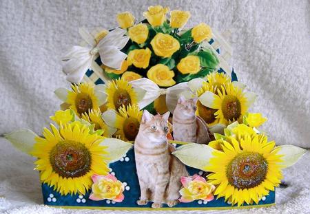 Totally 3D Roses and Yellow Flowers Easy with Instructions by Margaret McCartney
