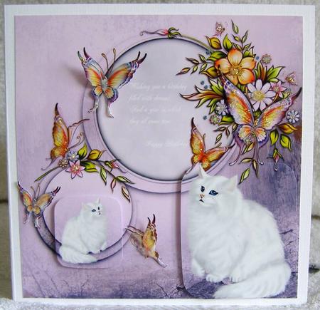 Watching Butterflies by Margaret McCartney