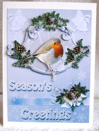 Winter Robin by Margaret McCartney