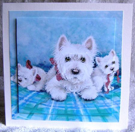 Our Little Family Westies Large Square Card Front by Margaret McCartney