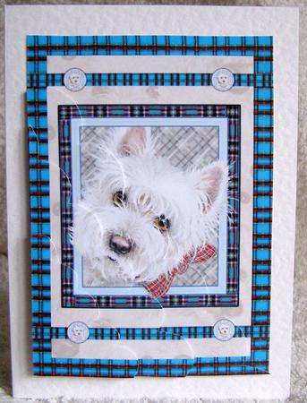 Our Family Westies Bow Tie Large Wavy Card Front by Margaret McCartney