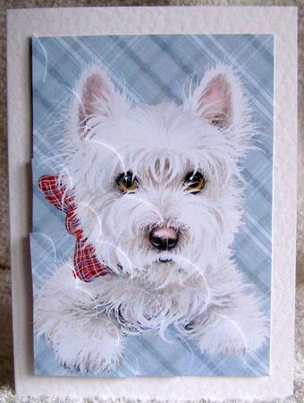 Pure Westies Just Beautiful Large Wavy Card Front by Margaret McCartney