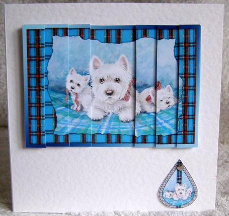 Pure Westies Our Family Large Side Stacker Card Front by Margaret McCartney