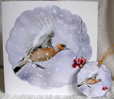 Winter Chaffinch and Berries by Margaret McCartney