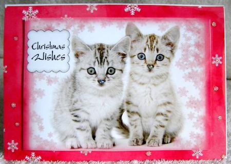 Snowflake Kittens 6 by 6 Large Square Card Front by Margaret McCartney