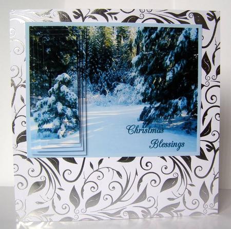 Winterland by Margaret McCartney