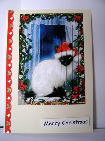Christmas Cat Pyrimage by Margaret McCartney
