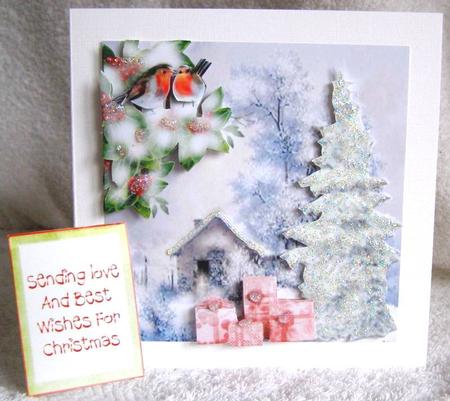 Christmas for the Robins by Margaret McCartney