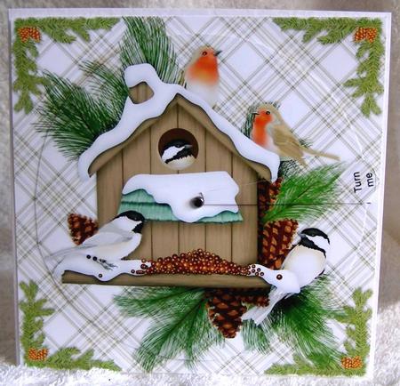Bird House - Turn Me by Margaret McCartney