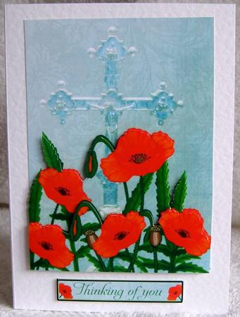 Sympathy Poppy by Margaret McCartney