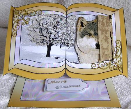 The Peek 3D Book Easel Card Kit by Margaret McCartney