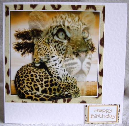 Leopard at Rest by Margaret McCartney