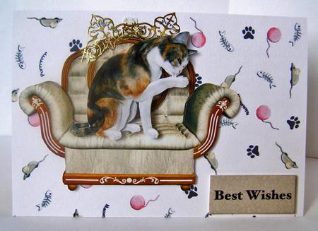 Me and My Chair - Cat by Margaret McCartney