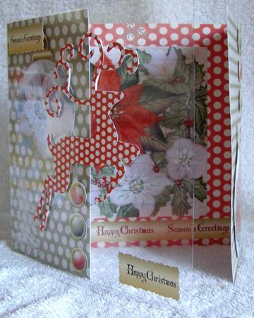 Poinsettia & Christmas Rose Large Pyramage & More Kit by Margaret McCartney