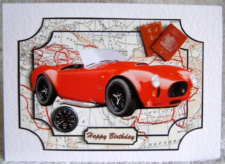 Cobra Sports Quick Card by Margaret McCartney