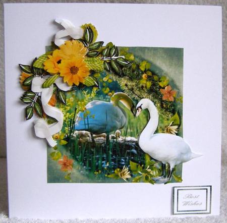 Happy Family of Swans by Margaret McCartney