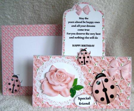 The Lady Bird and the Rose Bookmark/tent Kit by Margaret McCartney