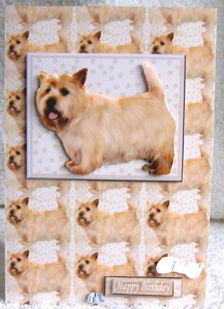 Cairn Terrier 3D Decoupage with Background by Margaret McCartney