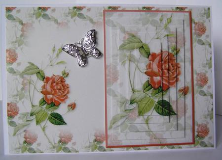 Red Rose Insert by Margaret McCartney