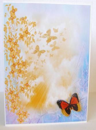 Butterfly Paper Orange by Margaret McCartney
