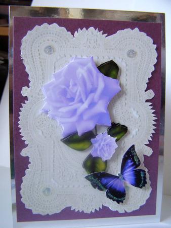 Stunning Elegant Purple Rose on Ecru Lace by Margaret McCartney