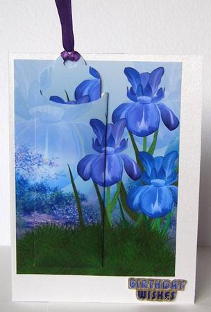 Iris Bookmark Birthday Greeting Card by Margaret McCartney