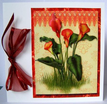 Calla Lilies by Margaret McCartney
