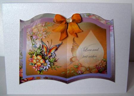 Butterfly Book by Margaret McCartney