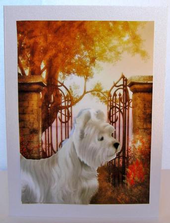 Look at the Butterfly Westie Card Front by Margaret McCartney