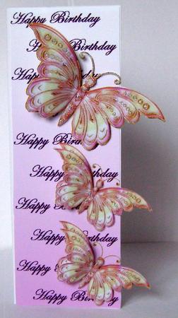 Butterfly Birthday by Margaret McCartney