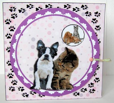 Cats & Dogs Viewmaster Card Kit by Margaret McCartney