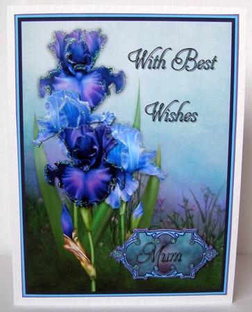 Blue Iris by Margaret McCartney