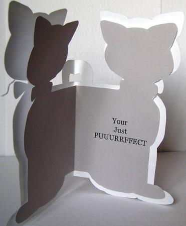 Your Puurrffect Cat Shaped Insert by Margaret McCartney